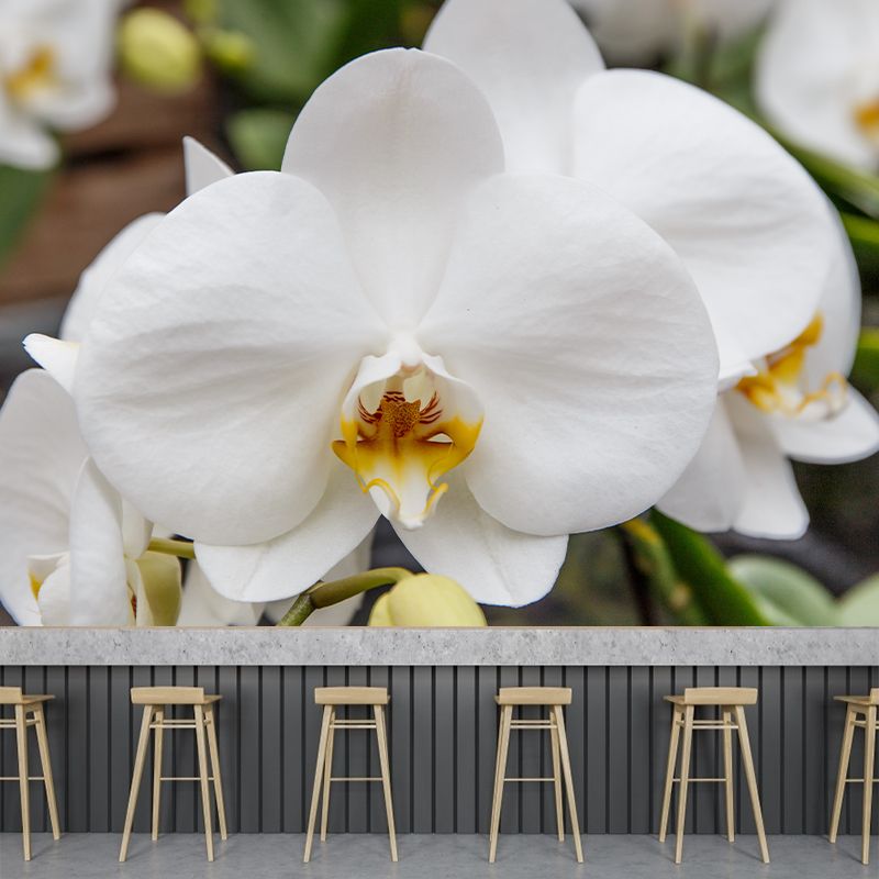 Orchid Murals Contemporary Washable Girls' Bedroom Wall Decor, Size Optional