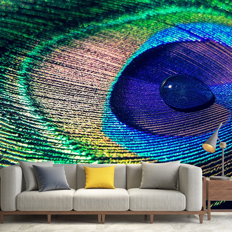 Chromatic Wall Mural Peacock Feather Pattern Drawing Room Wall Mural