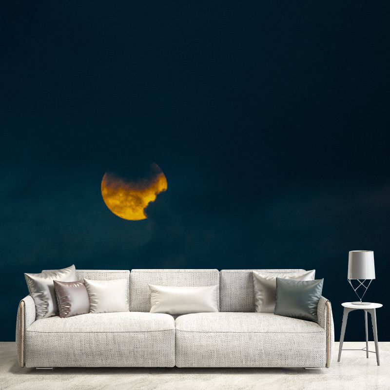 Environmental Photography Mural Wallpaper Dreamy Sky Indoor Wall Mural