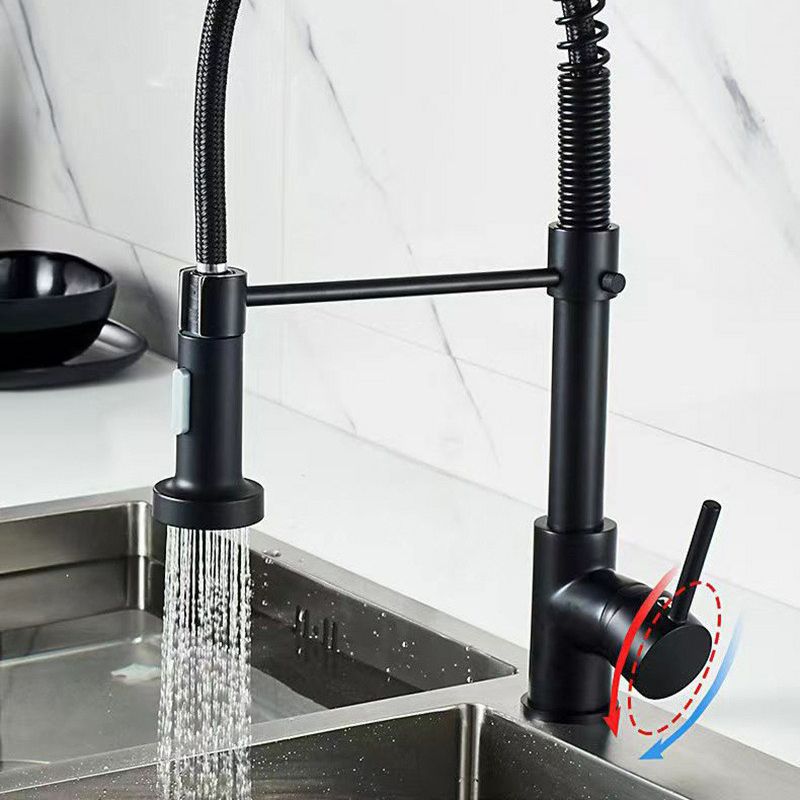 Modern 1-Handle Faucet Spring Spout with Water Dispenser Standard Kitchen Faucet