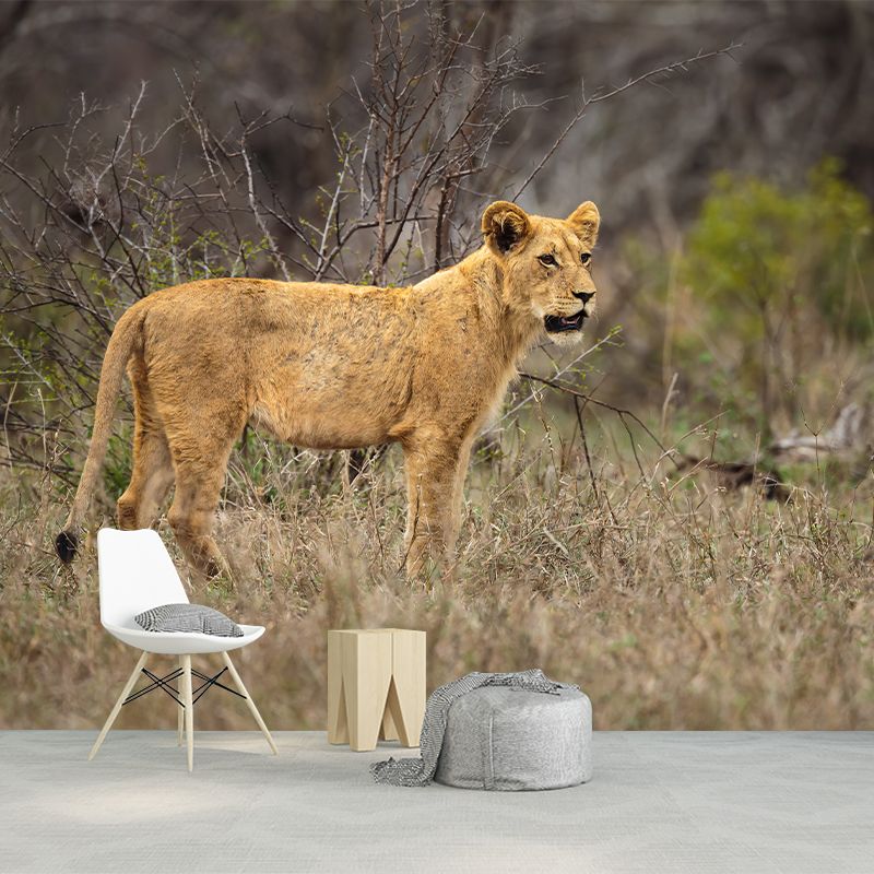 Lioness Mural Environment Friendly Wallpaper Home Decoration for Living Room