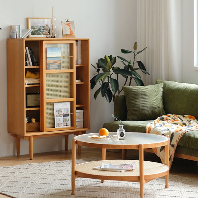 Closed Back Bookshelf Solid Wood Contemporary Bookcase with Doors