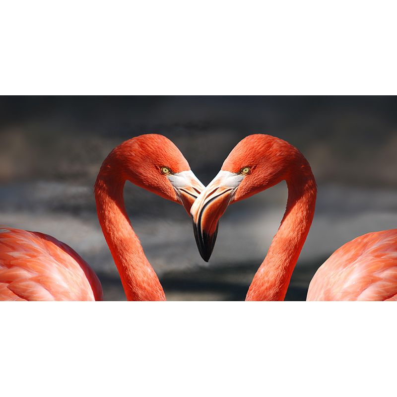 Contemporary Style Wild Animals Mural Photography Wallpaper for Living Room Decorative