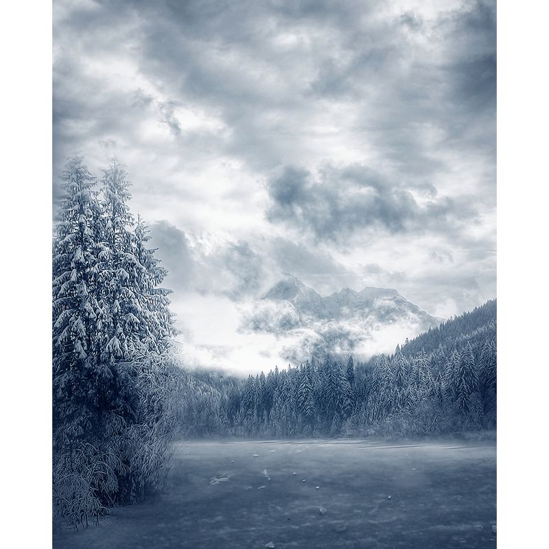 Pine Forest Wall Mural Modern Decorative Dining Room Wall Covering, Custom Printed