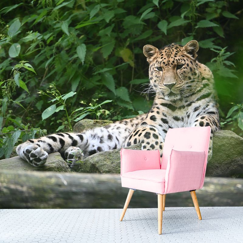 Amur Leopard Mural Decal Eco-friendly Wallpaper Customized Wall Covering for Sitting Room