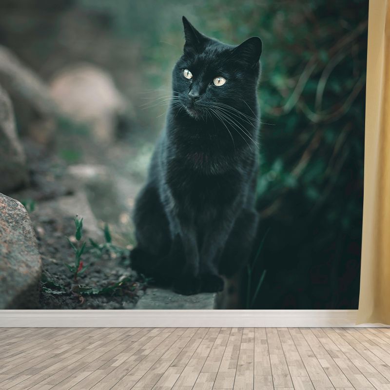 Lovely Cat Wall Mural Wallpaper Mildew Resistant Wall Covering for Decoration