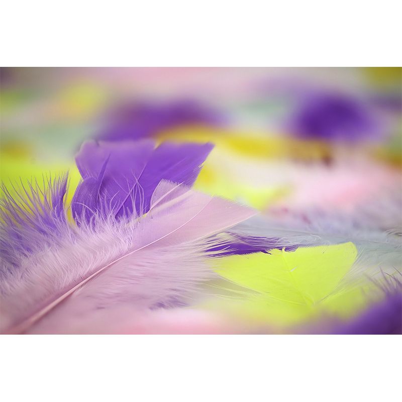 Mildew Resistant Bird Feather Mural Wallpaper Decorative Wall Art for Backsplash