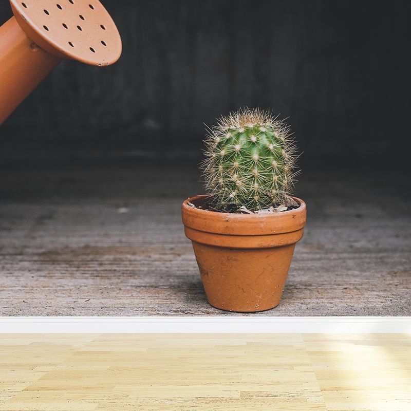 Modern Green Plant Wall Mural with Potted Cactus Pattern for Bar Decoration