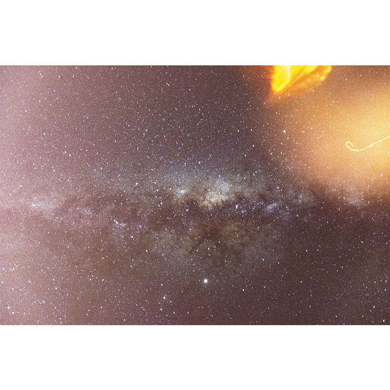 Minimalism Style Mural Wallpaper Dark Color Stain Resistant Wall Art for Home