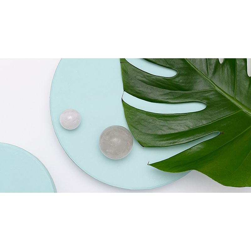 Decal Nature Tropical Plant Monstera Mural for Meeting Room Water Resistant, Custom Size