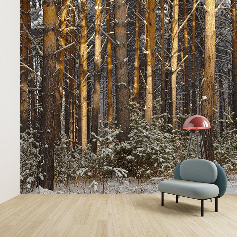 Winter Forest Landscape Mural Wallpaper for Home Decoration, Moisture Resistant