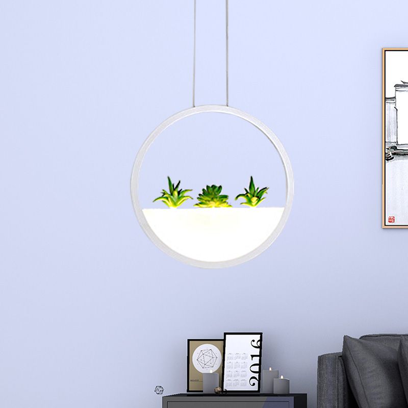 Pendre de chevet circulaire moderniste de 11 "/ 14" LED de large lampe à plafond accrochage en blanc avec décoration de plantes, lumière blanche / chaude