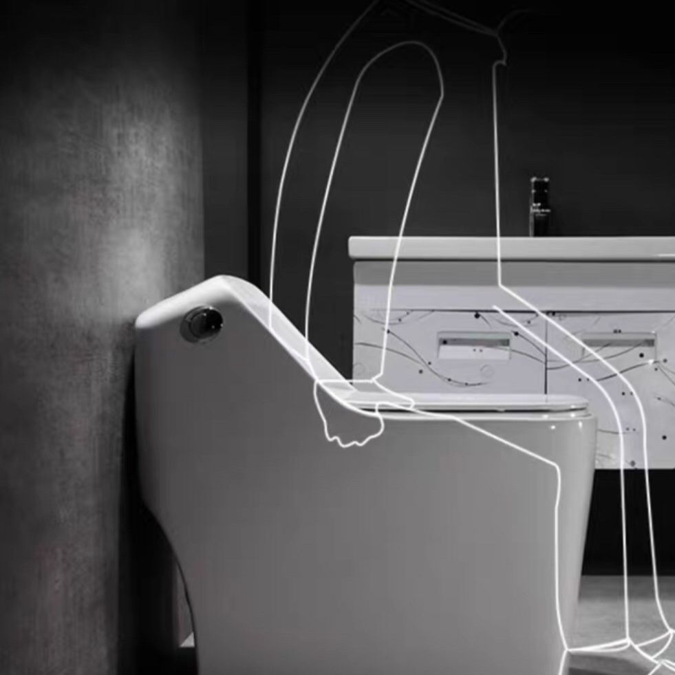 Modern Siphon Jet Toilet Bowl Floor Mount Flush Toilet with Toilet Seat