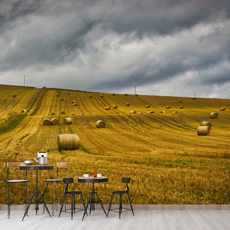 Customized Straw Bale Mural Decal Light Color Wall Decor Eco-friendly for Living Room