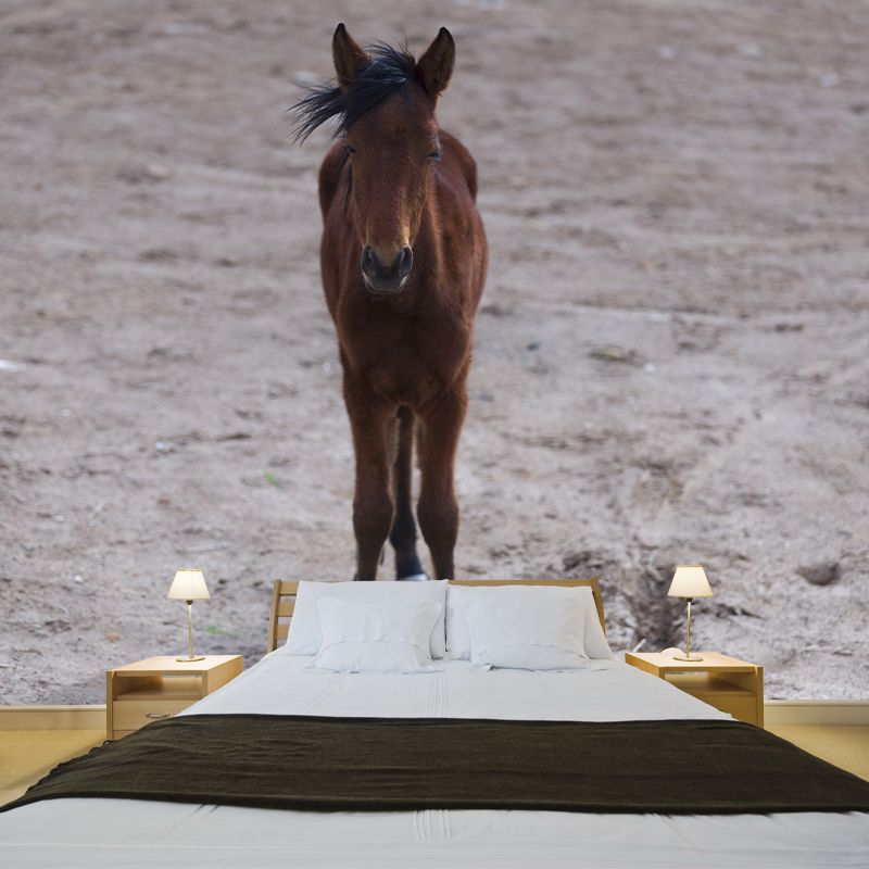 Horse Animal Mural Wallpaper for Home Decor Full Size, Moisture Resistant