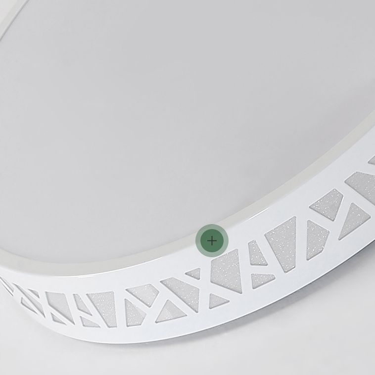 Modern Flush Mount Ceiling Light LED Lighting Indoor Bedroom Light