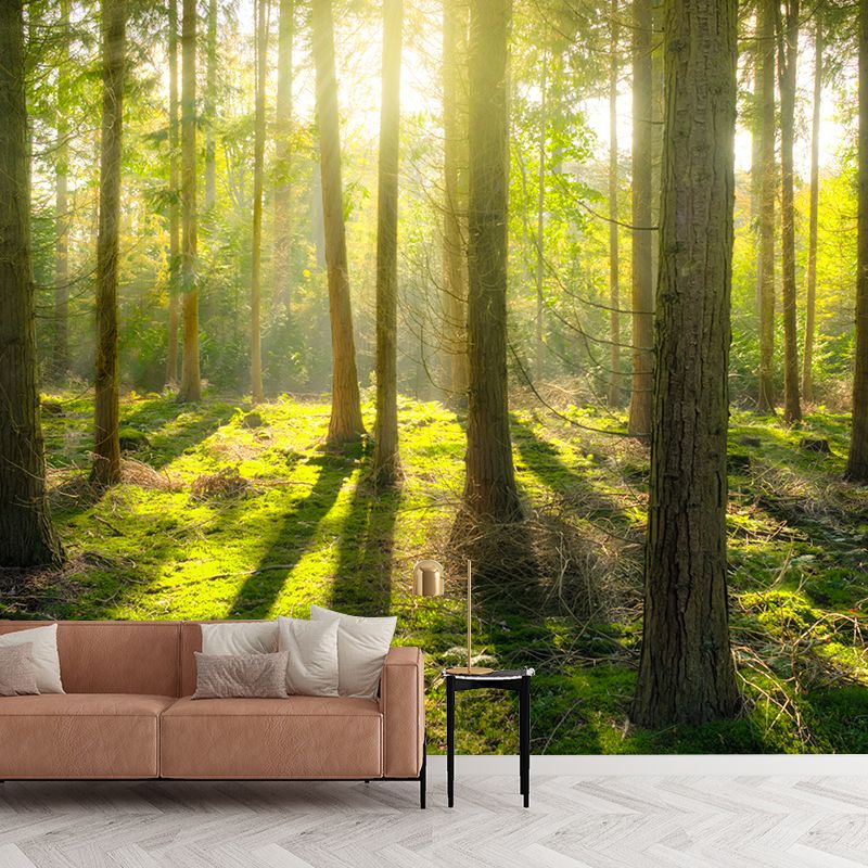 Environment Friendly Photography Forest Wallpaper Home Decor Mural Wallpaper