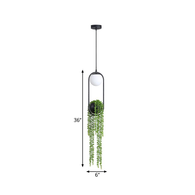 Plante mondiale industrielle Lumière de suspension de plafond LED en métal à bulbe en noir