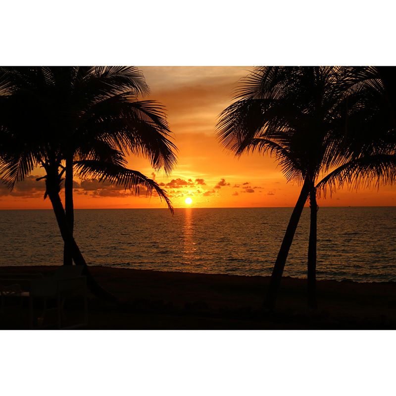 Photography Wall Mural Wallpaper Tropical Scenery Sitting Room Wall Mural