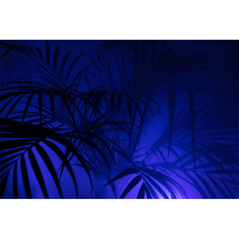 Photography Stain Resistant Mural Wallpaper Plant Indoor Wall Mural