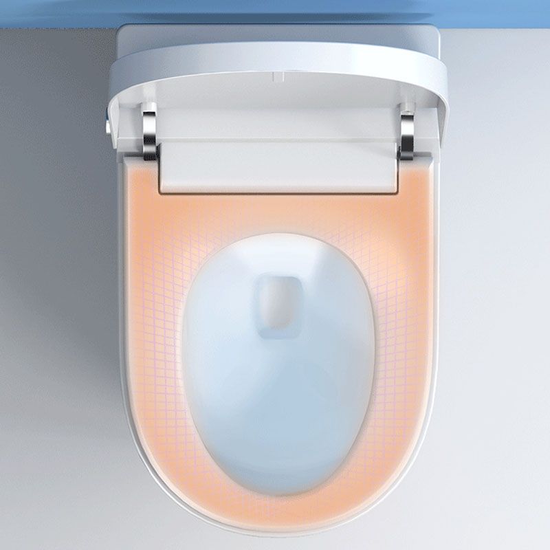 Contemporary Flush Toilet Floor Mounted One-Piece Toilet Porcelain Urine Toilet