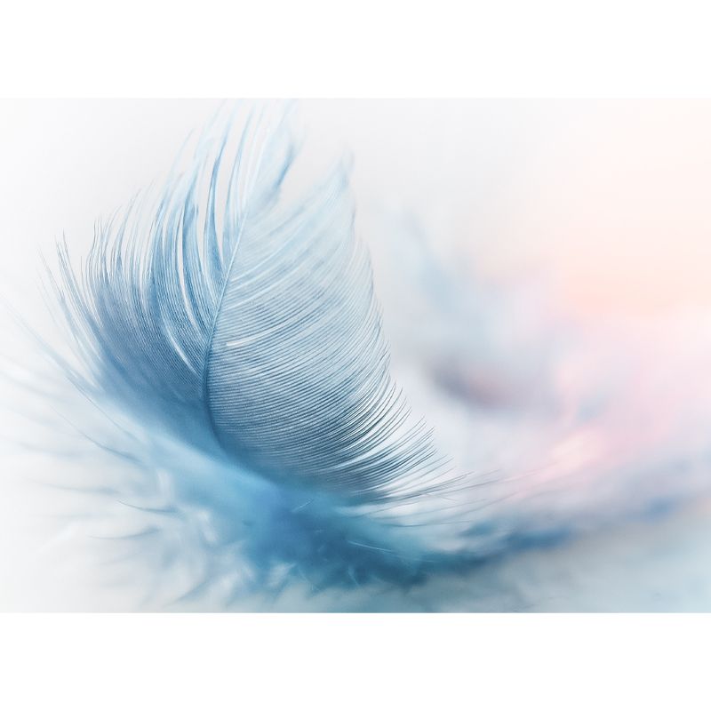 Photography Decorative Wall Mural Feather Pattern Non-Pasted Mildew Resistant