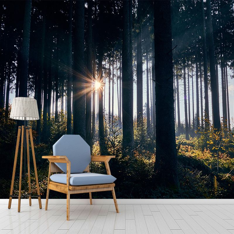Photography Forest Mural Wallpaper for Sitting Room Decor Multiple Sizes Available
