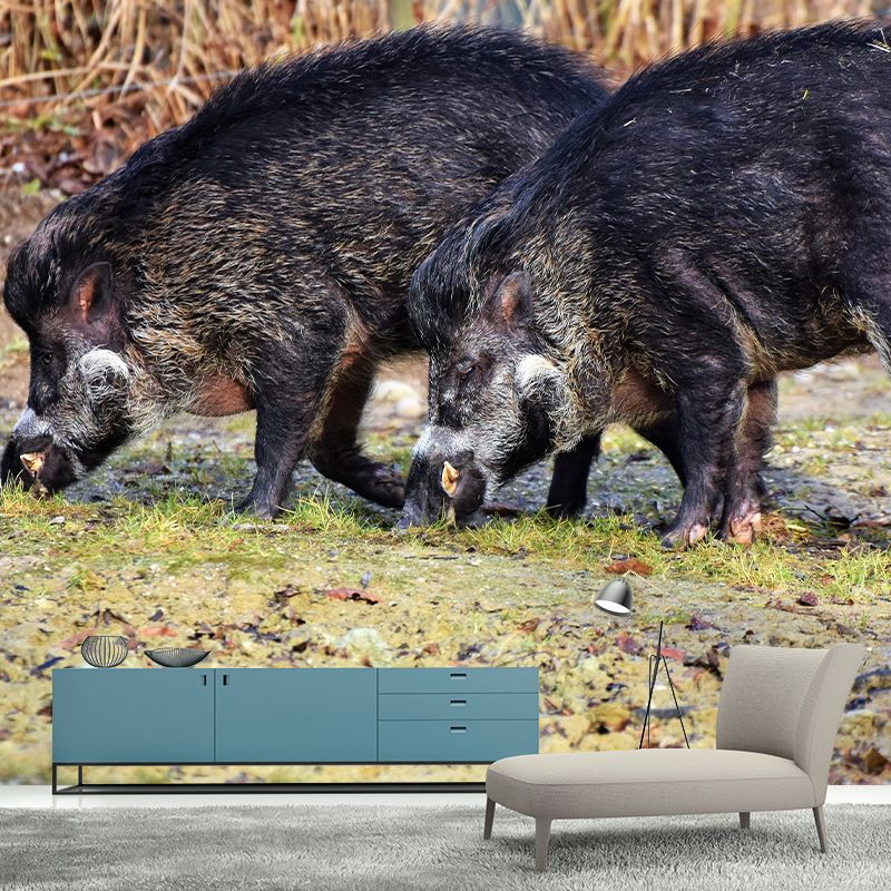 Customized Lion Wall Mural Contemporary Photography for Bedroom Living Room