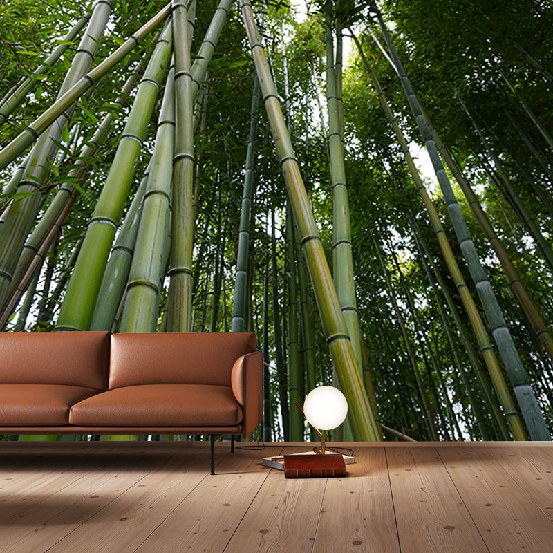 Green Bamboo Wall Decor for Bedroom Living Room Waterproofing, Made to Measure