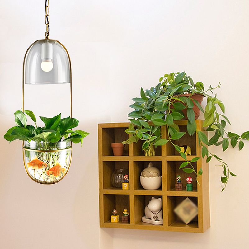 1 Bulb Pendant Light Antique Hemisphere Planter Clear Glass Hanging Light Fixture with Oblong Frame in Gold