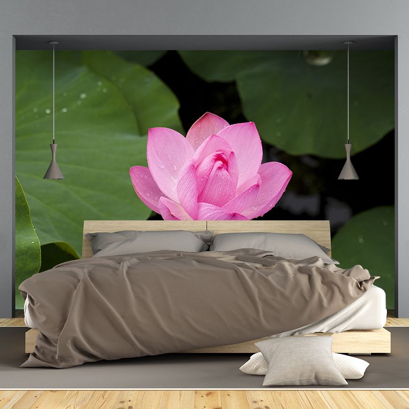 Beautiful Flower Wallpaper Mural Red and Pink Wall Decor for Bedroom, Waterproofing