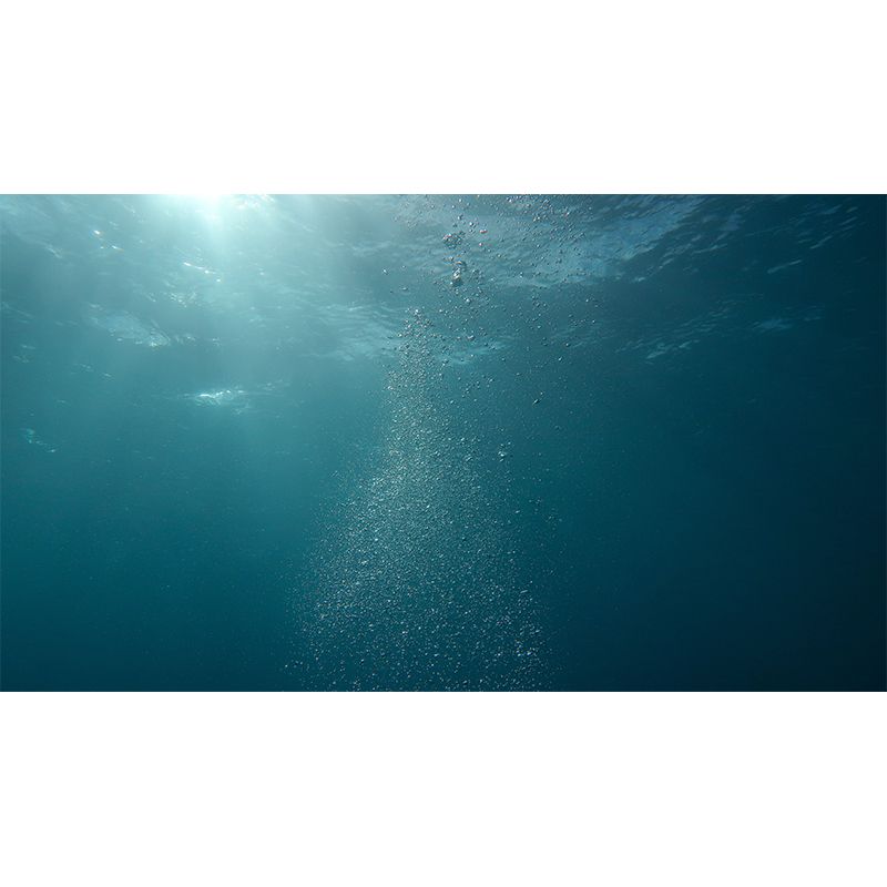 Decorative Underwater Photography Wallpaper Home Decor Wallpaper