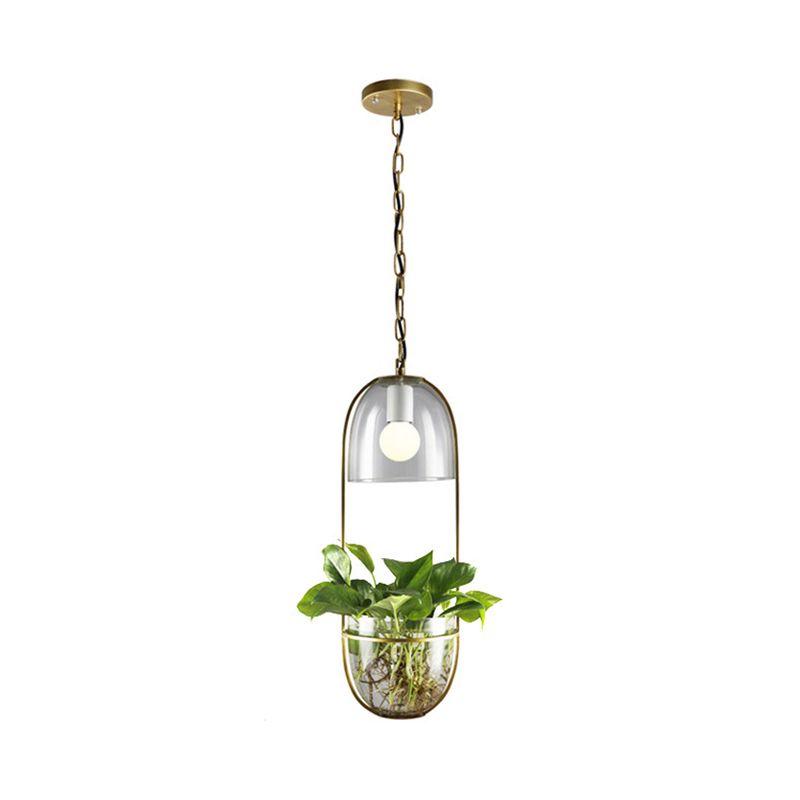 1 Bulb Pendant Light Antique Hemisphere Planter Clear Glass Hanging Light Fixture with Oblong Frame in Gold