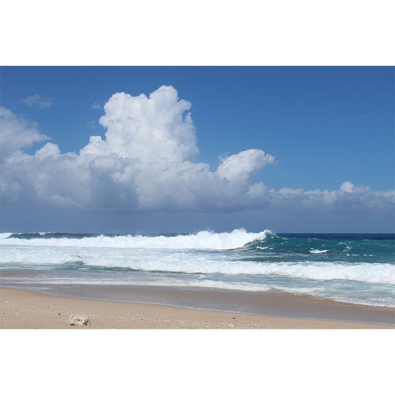 Sea Shore Mural Stain Resistant Meeting Room Wall Decor, Made to Measure