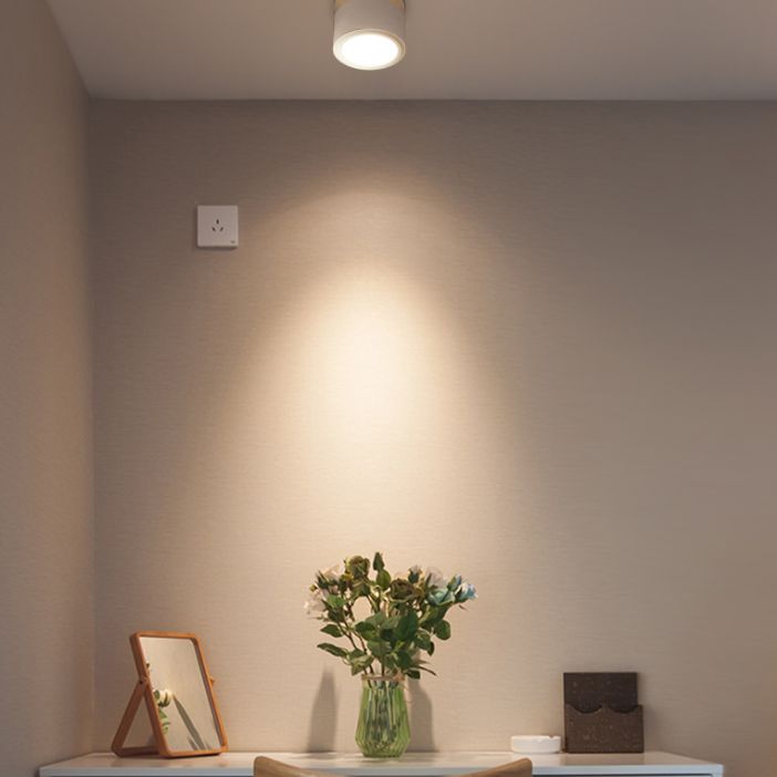 Cylinder Flush Mount Ceiling Fixture Nordic Style LED Metal Flush Ceiling Light Fixture