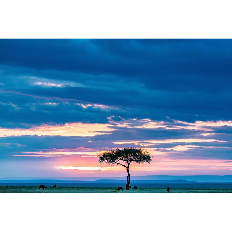 Grassland Photography Pattern Mildew Wall Mural Horizontalt for Living Room
