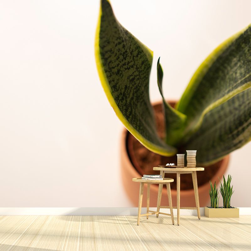 Plant Indoor Decorations Mural Wallpaper for Sleeping Room, Mildew Resistant