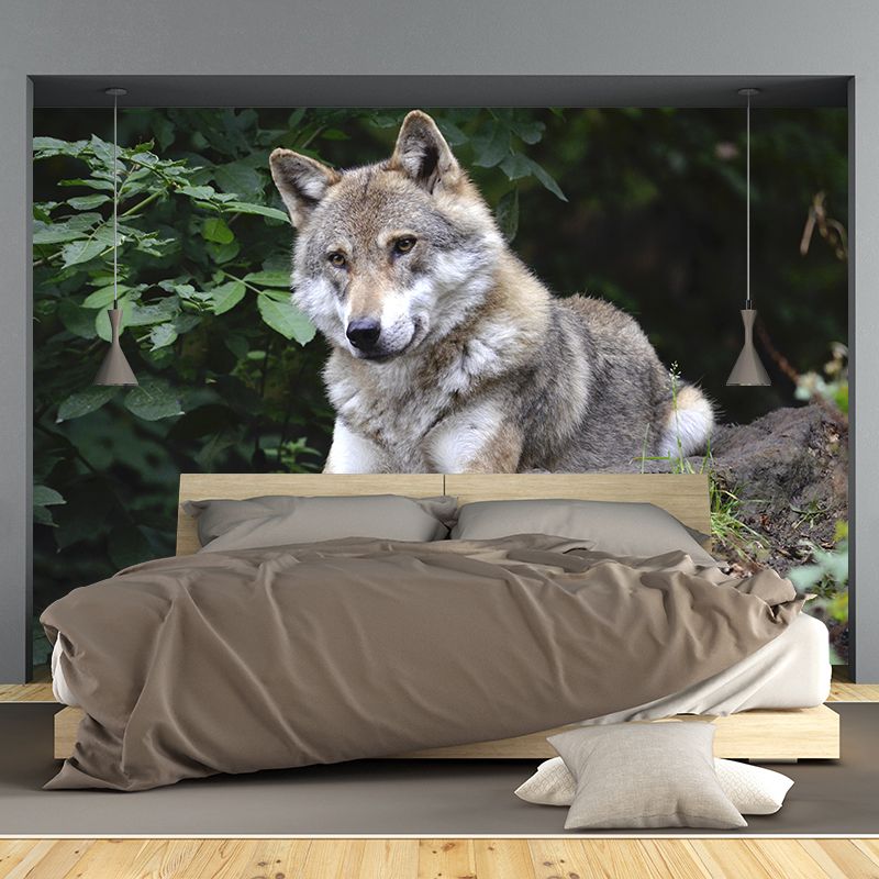 Contemporary Style Wolf Mural Eco-friendly Wallpaper Wall Covering for Sitting Room
