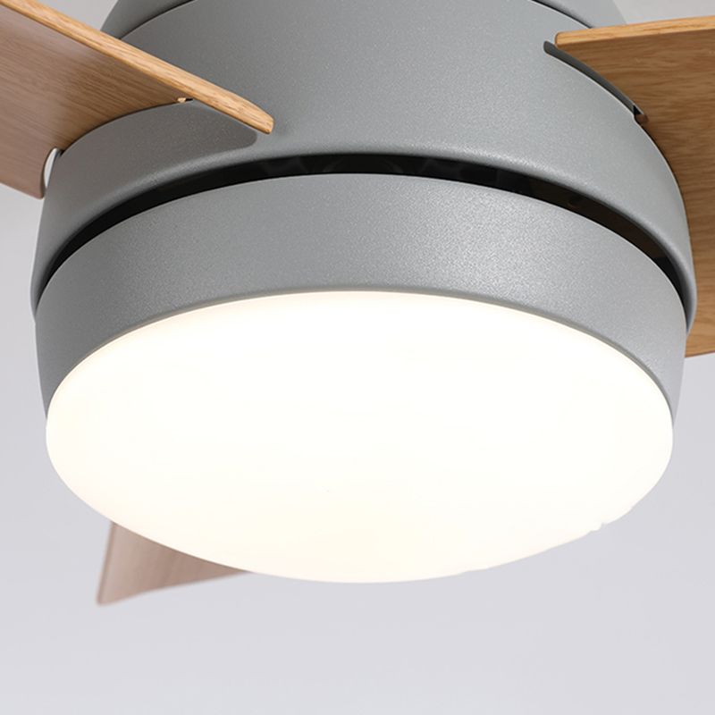 Metal Ceiling Fan Lighting Modern Style 1 Light Ceiling Fan Lamp for Living Room