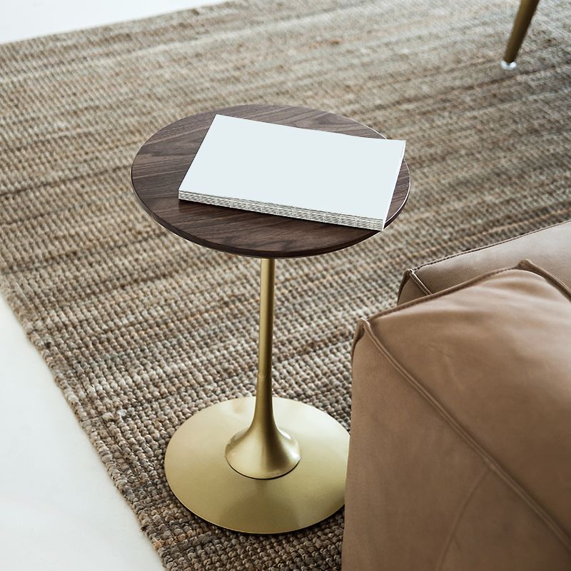 Scandinavian Round Solid Wood Top Side Table Metal Pedestal End Table