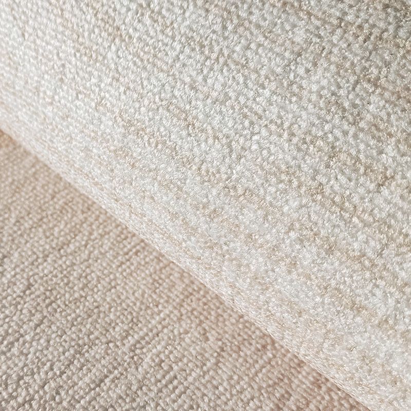 Simplicity Area Carpet Modern Indoor Rug Polyester Stain Resistant Area Rug for Living Room