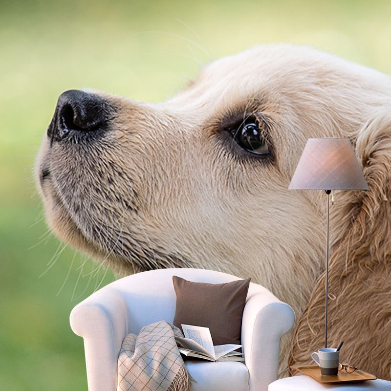 Washable Stain Resistant Wall Mural Wallpaper Pets Sitting Room Wall Mural