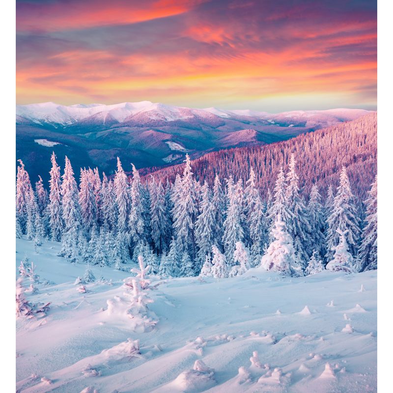 Orange Evening Glow Wall Mural Snowy Cypress Mountains Modern Waterproof Wall Covering