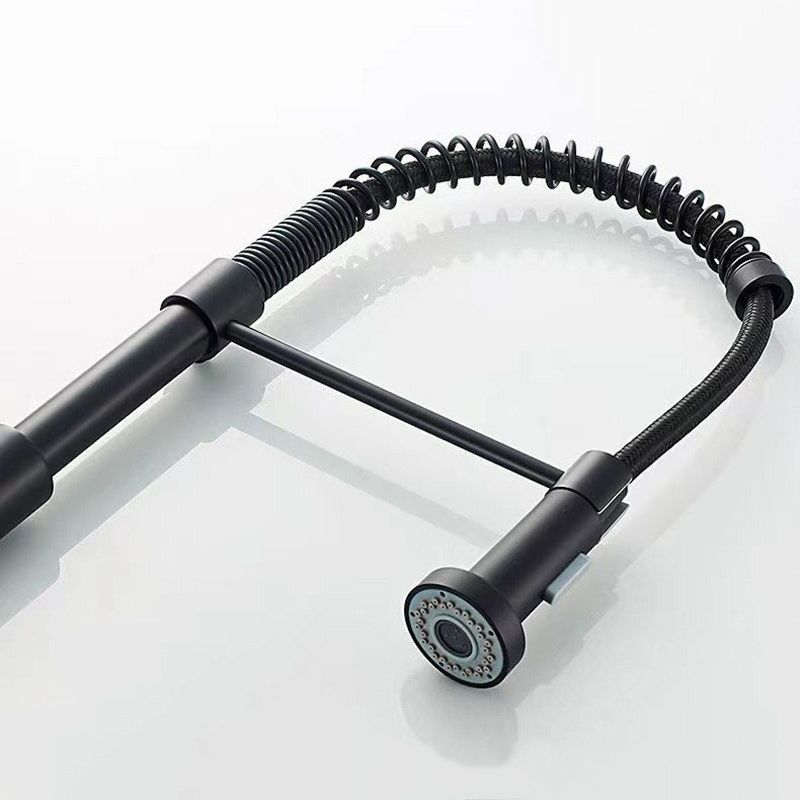 Modern 1-Handle Faucet Spring Spout with Water Dispenser Standard Kitchen Faucet