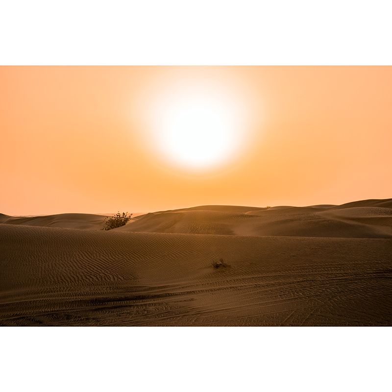 Decorative Photography Mural Wallpaper Desert Indoor Wall Mural