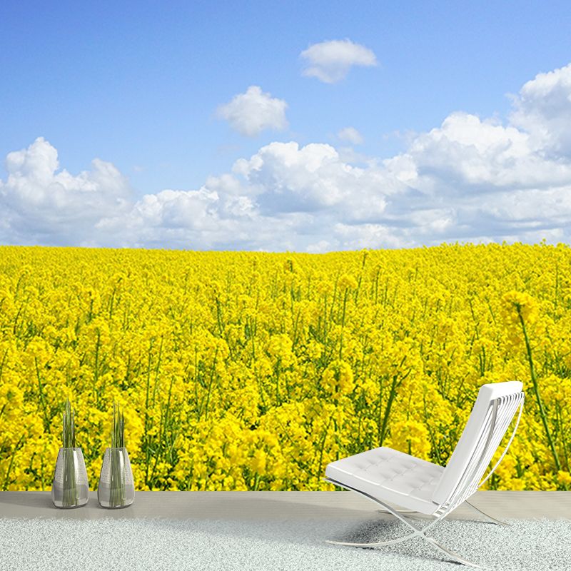 Photography Flower Field Mural Mildew Resistant Wallpaper Sleeping Room Wall Mural