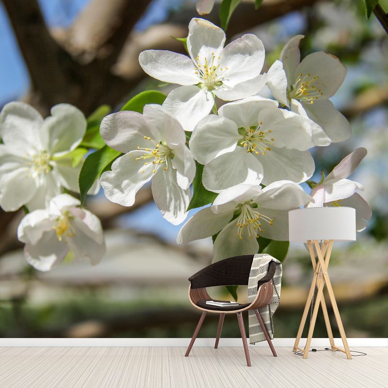 Customized Blooming Begonia Mural Wallpaper Contemporary for Guest Room Decor