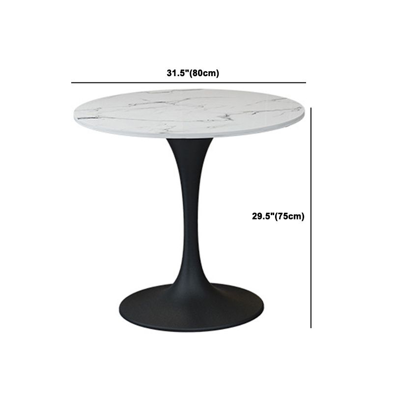 Contemporary Sintered Stone Dining Table Set Round 1/2/4/5 Pieces Dining Set