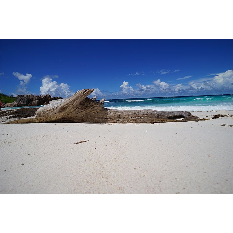 Blue and White Sea Mural for Living Room Bedroom Decoration, Made to Measure