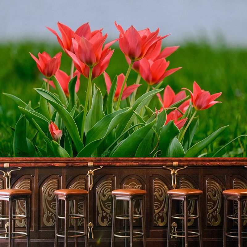 Tulips Wallpaper Mural Decal Customized Modern Wall Covering for Bedroom